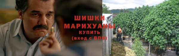 шишки Зеленокумск