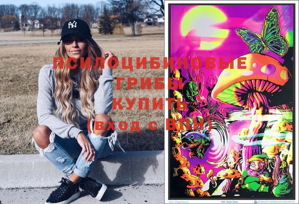 шишки Зеленокумск