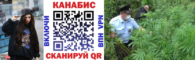 Каннабис Ganja Великий Устюг